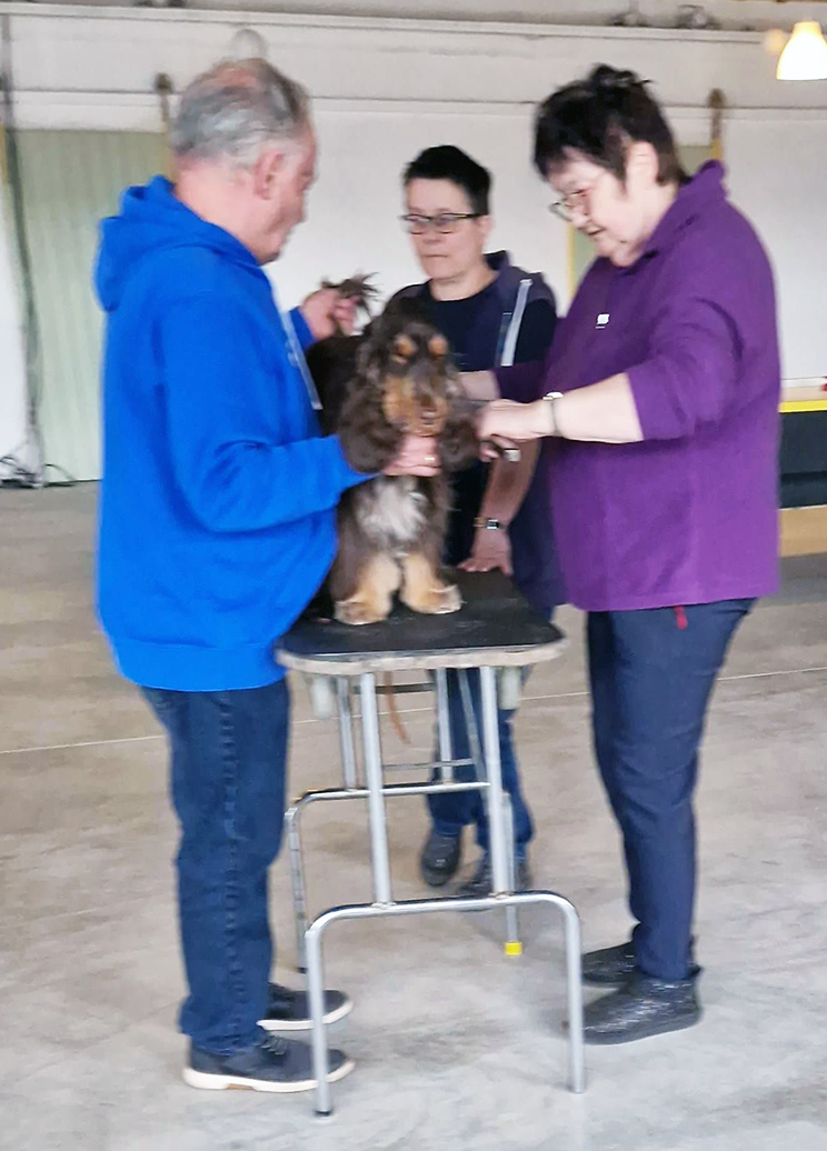 Duke beim Ringtrainig 14.3.2026 Glauchau der LG Mitte-Ost im SCD Duke beim Ringtrainig 14.3.2026 Glauchau der LG Mitte-Ost im SCD