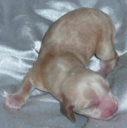 Spike am 5.3.2011, 1 Tag alt Spike am 5.3.2011, 1 Tag alt