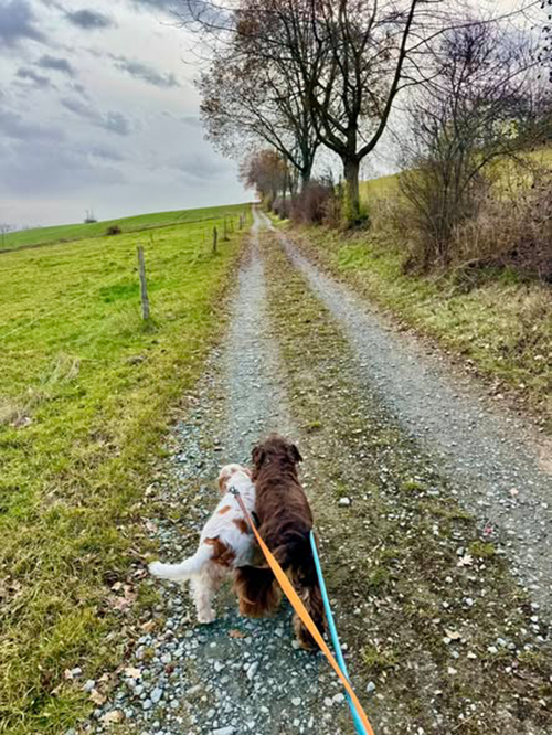 Auf dem Weg zum Venusberg (Erzgebirge) Auf dem Weg zum Venusberg (Erzgebirge)