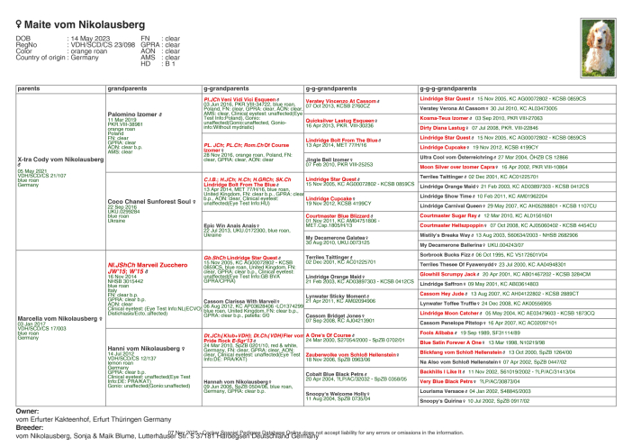 Ahnentafel Maite vom Nikolausberg - English Cocker Spaniel