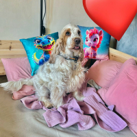 Maite vom Nikolausberg in Wurfkiste